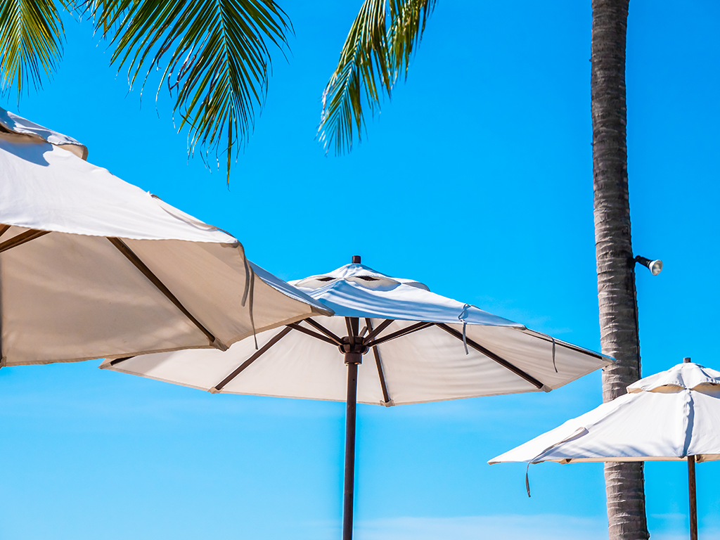 zalal-al-waha uae work in best quality and services